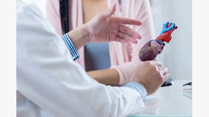 Gros plan des mains d'un médecin tenant un modèle de cœur, en discussion avec un collègue.